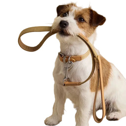 Joules Tan Dog Lead