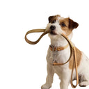 Joules Tan Dog Lead