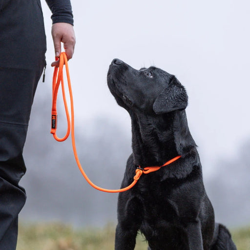 Non-Stop Dogwear Retriever Dog Leash - Orange