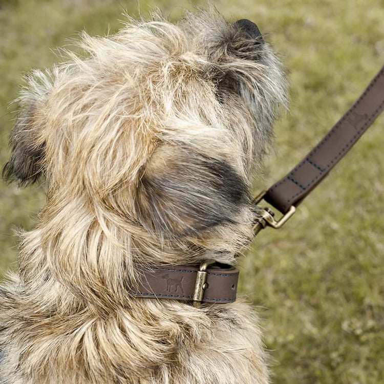 Sophie Allport Woof Leather Dog Lead