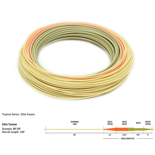 Rio Elite Tarpon Fly Line