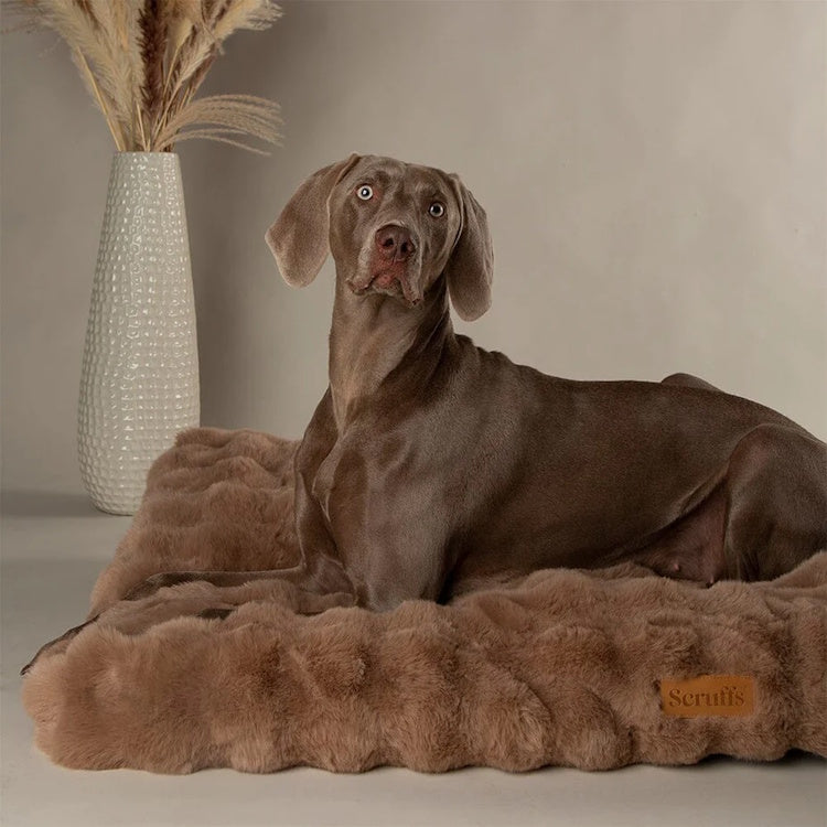 Scruffs Alpine Dog Mattress - Taupe