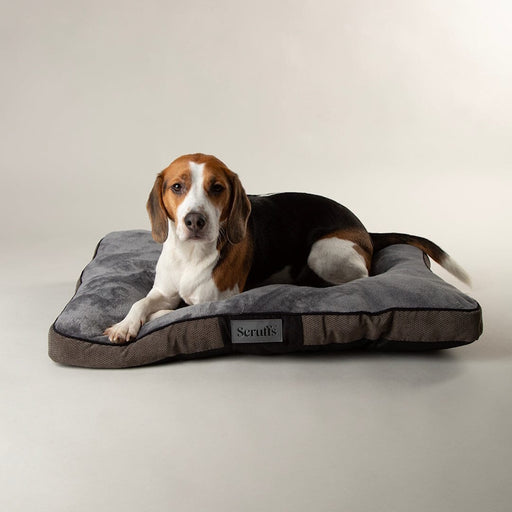 Scruffs Chester Dog Mattress - Graphite - Large