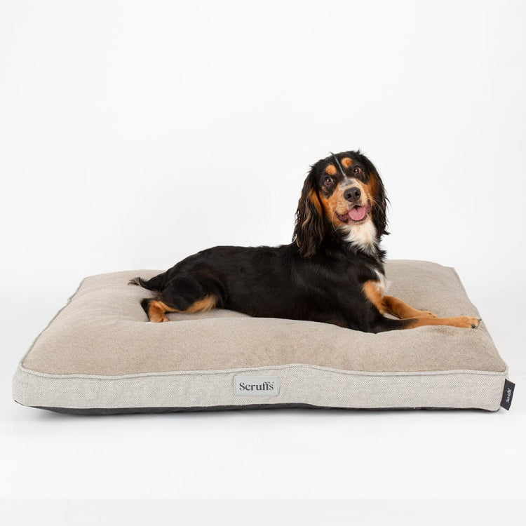 Scruffs Harvard Dog Mattress Pearl Grey John Norris