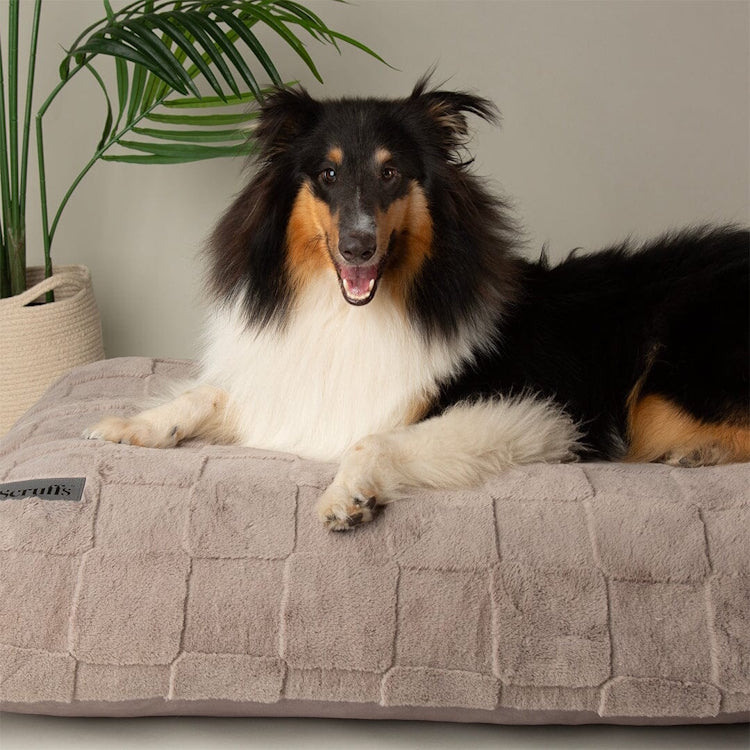 Scruffs Oxford Orthopaedic Dog Mattress - Silver