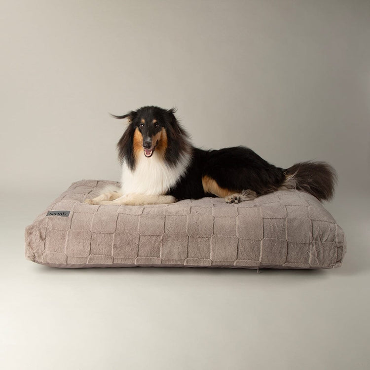 Scruffs Oxford Orthopaedic Dog Mattress - Silver
