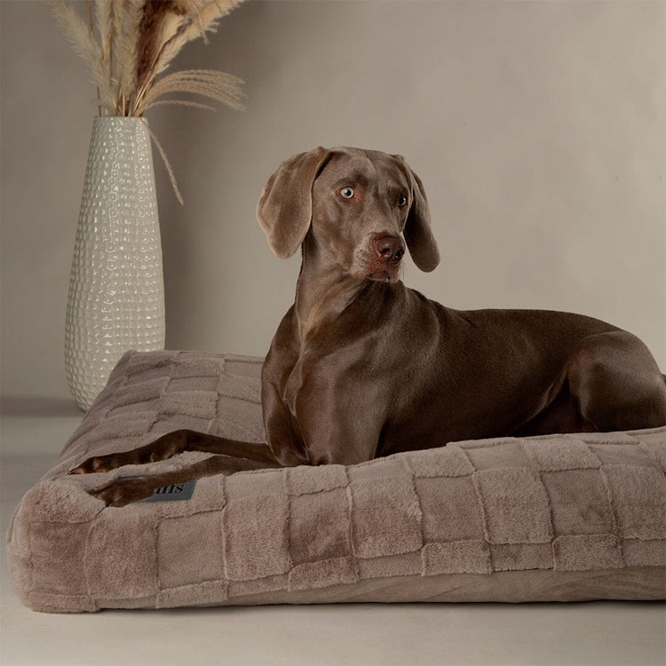 Scruffs Oxford Orthopaedic Dog Mattress - Silver