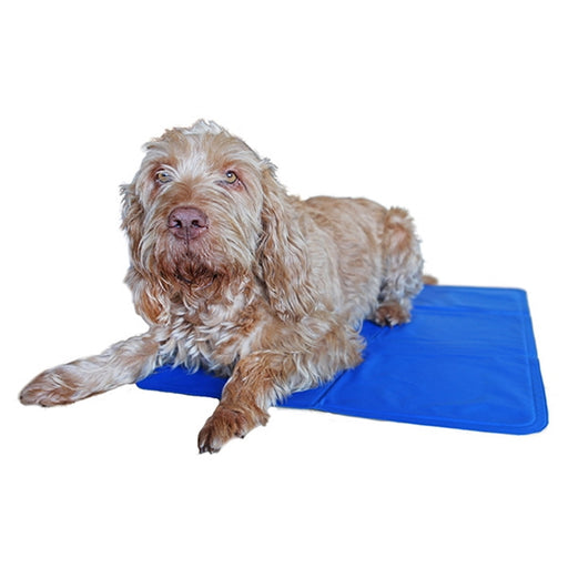 Rosewood Chillax Cool Pad - Large