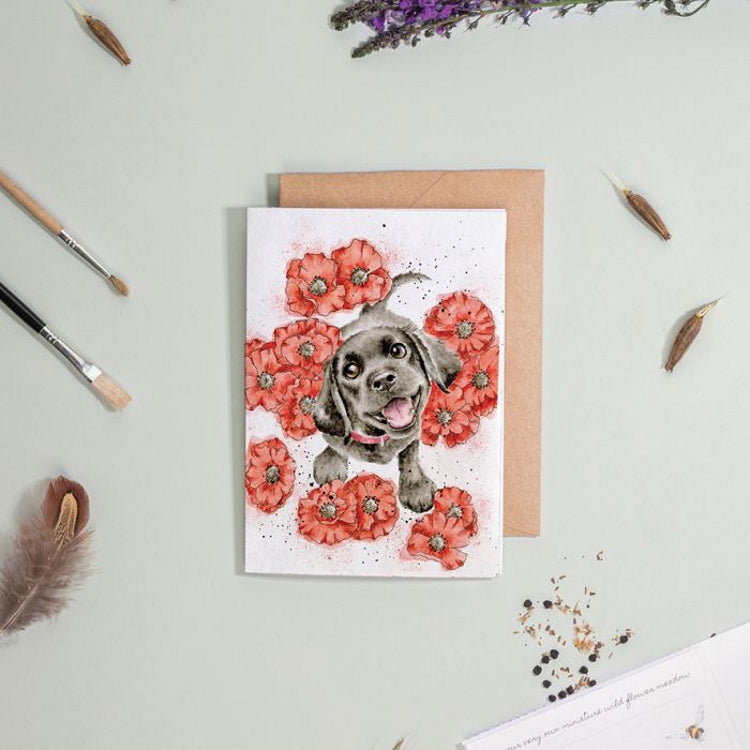 Wrendale Designs Seed Card - Poppy Love