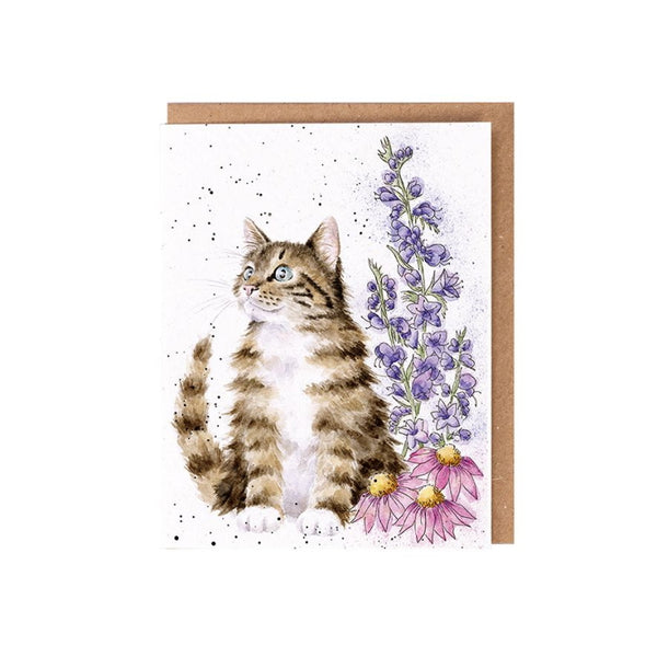 Wrendale Designs Seed Card - Whiskers and Wildflowers
