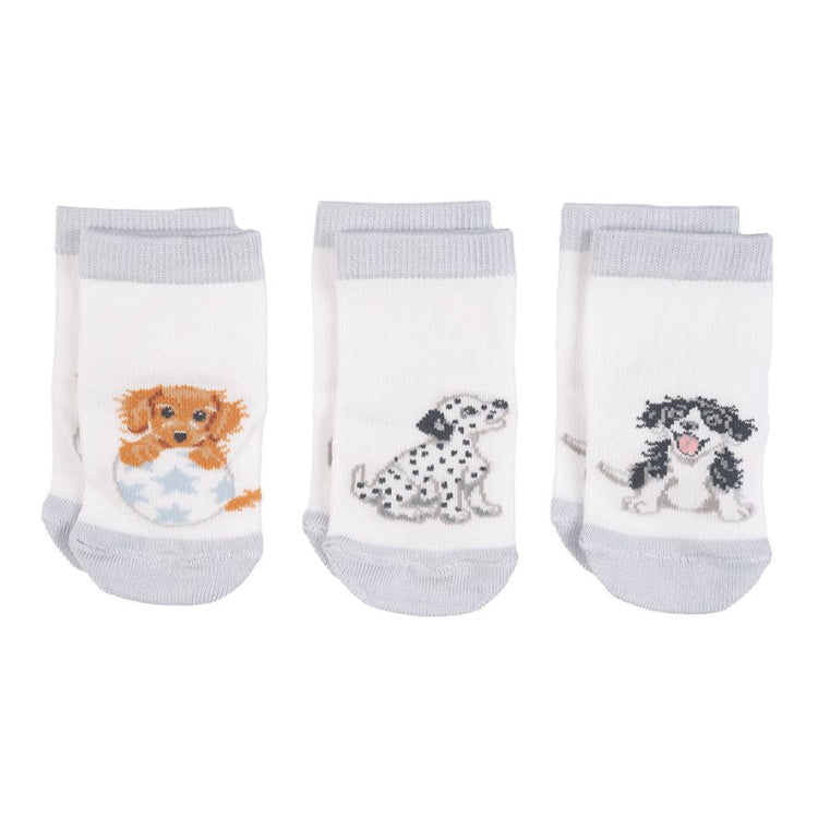 Wrendale Designs Little Paws Dog Baby Socks Set