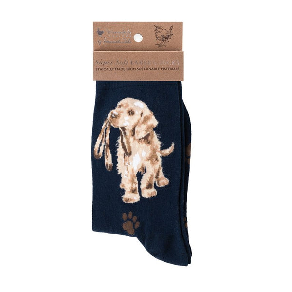 Wrendale Designs Ladies Socks - Hopeful Labrador