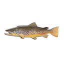 Rep Your Water Sticker -  Brown Trout
