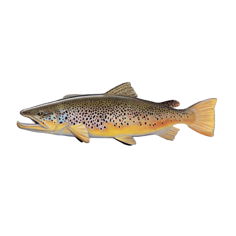 Rep Your Water Sticker -  Brown Trout