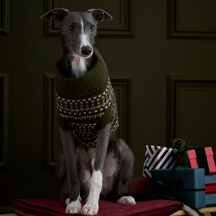 Barbour Marlow Fairisle Dog Jumper - Olive