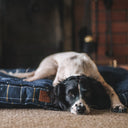 House of Paws Tweed Boxed Dog Duvet - Navy Check