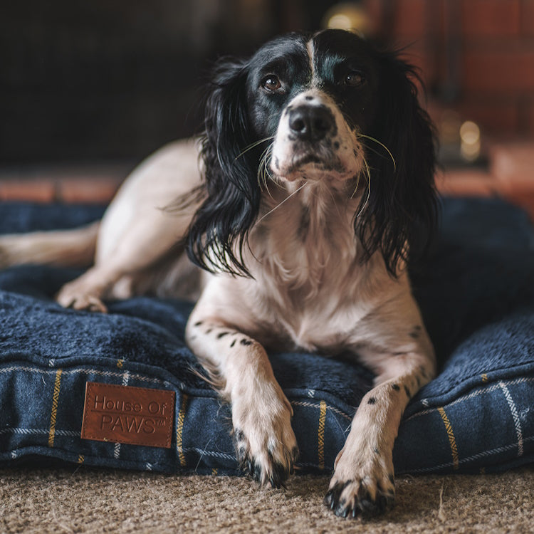 House of Paws Tweed Boxed Dog Duvet - Navy Check