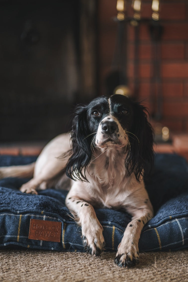 House of Paws Tweed Boxed Dog Duvet - Navy Check