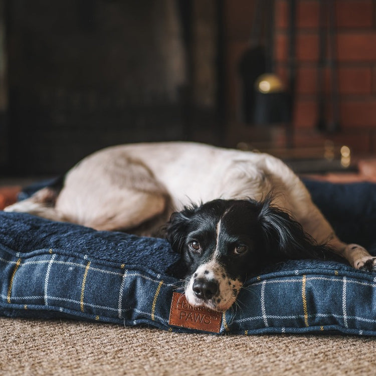 House of Paws Tweed Boxed Dog Duvet - Navy Check