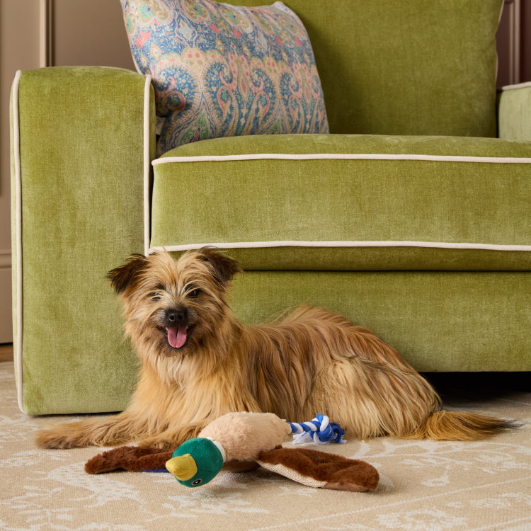 Joules Plush Printed Duck Dog Toy