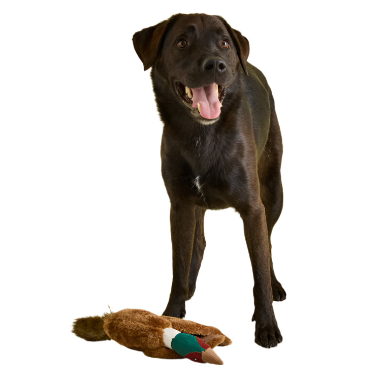 Joules Plush Tweed Pheasant Dog Toy