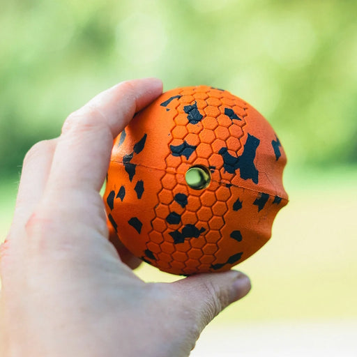 Non-Stop Dogwear Dog Ball - Orange/Black