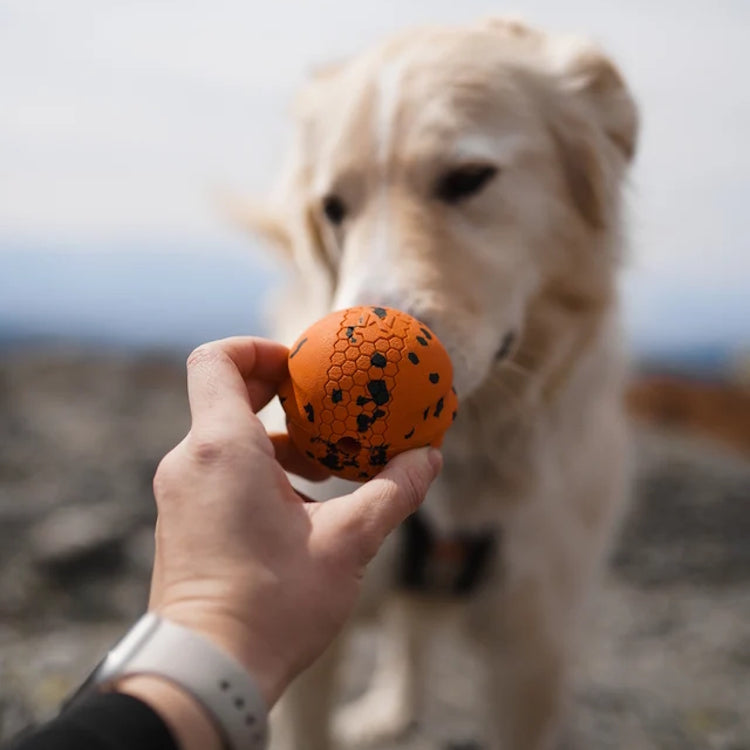 Non-Stop Dogwear Dog Ball - Orange/Black