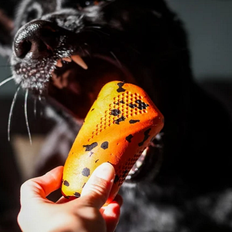 Non-Stop Dogwear Dog Throw Toy - Orange/Black