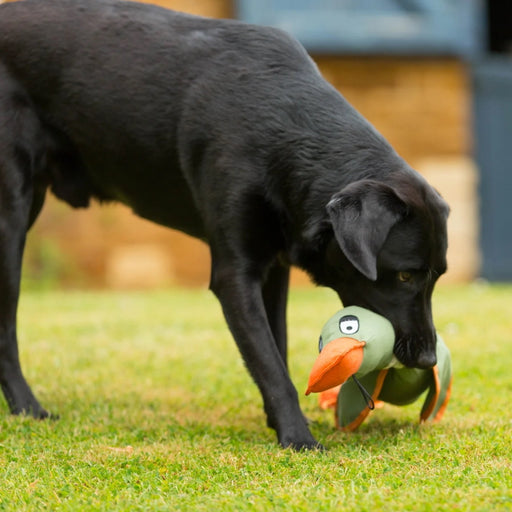 House of Paws Duck Canvas Thrower Dog Toy - Khaki