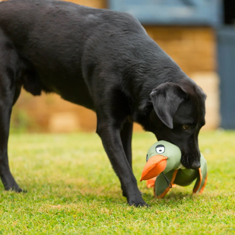 House of Paws Duck Canvas Thrower Dog Toy - Khaki