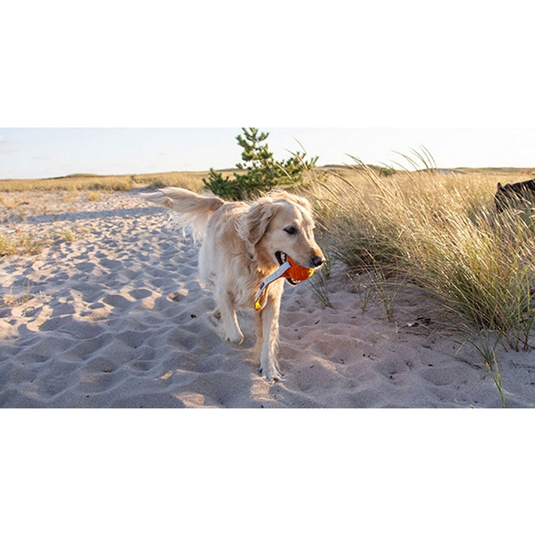 NGage Dog Toy Handler Jumbo John Norris