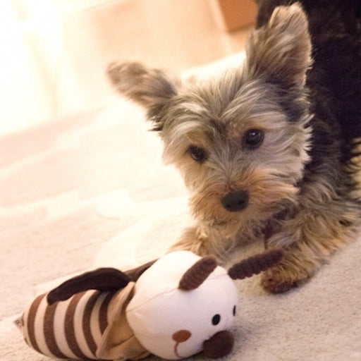 Rosewood Puppy Natural Nippers Shake and Rattle