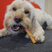 Rosewood Chewy Bone Dog Treats - Chewy Twists