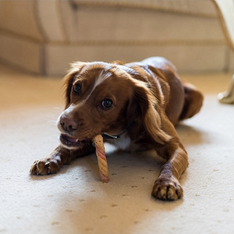 Rosewood Chewy Bone Dog Treats - Chewy Twist Value Pack 15pc 345g