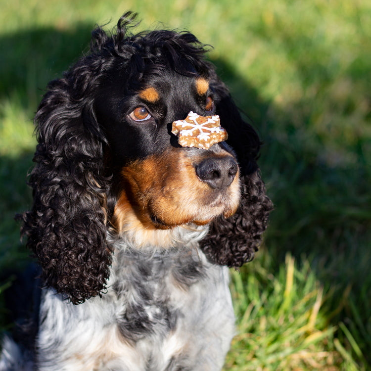 Rosewood Christmas Luxury Meaty Cookies - 9 pieces