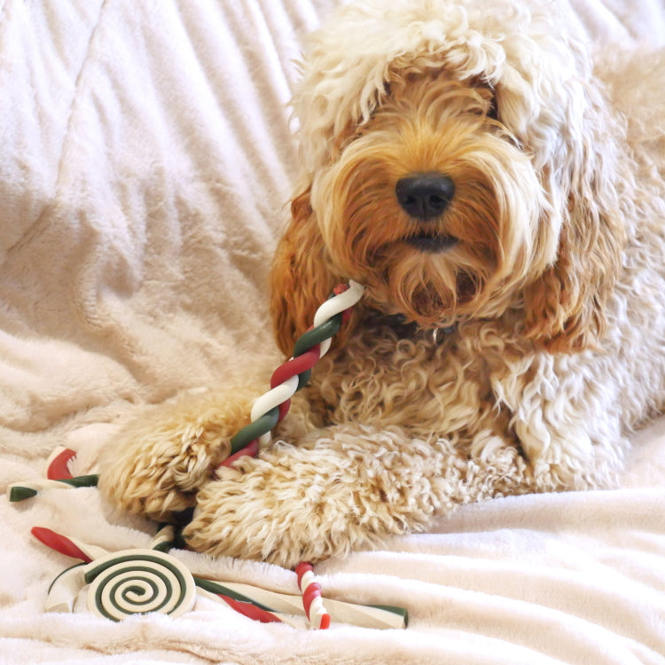 Rosewood Rawhide Free Bumper Christmas Gift Bag