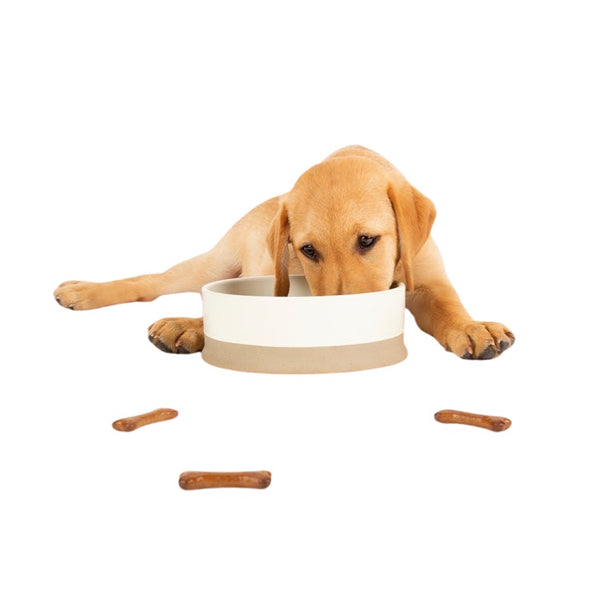 Scruffs Scandi Non Tip Dog Bowl - Cream