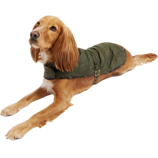 Barbour Dog Bone Quilted Dog Coat - Dark Olive