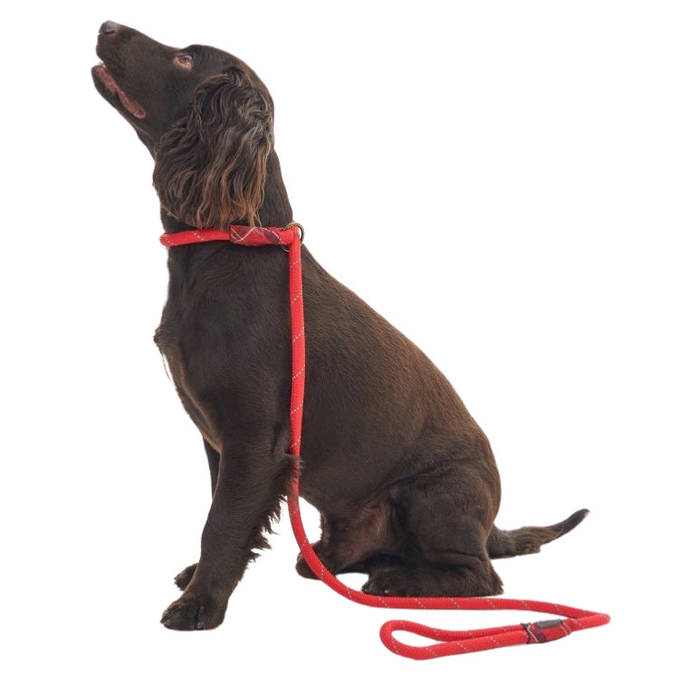 Barbour Reflective Slip Dog Lead - Red