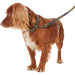 Barbour Tartan/Webbing Dog Collar