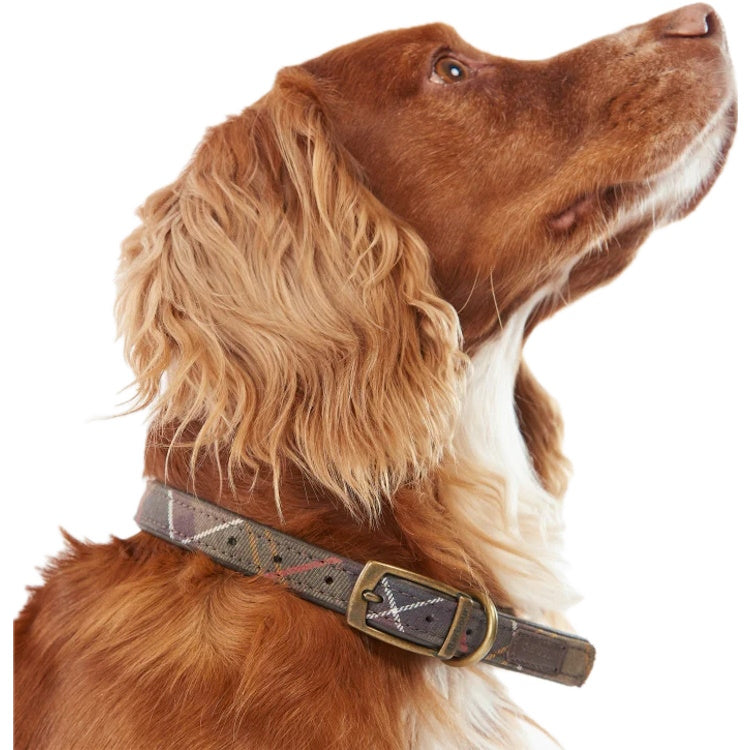 Barbour Tartan Dog Collar