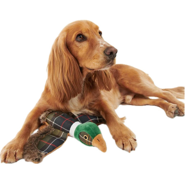 Barbour Pheasant Dog Toy