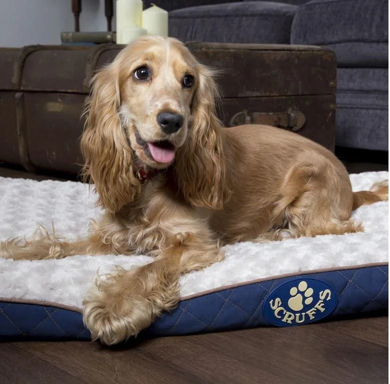 Scruffs Wilton Dog Mattress Assorted Colours John Norris