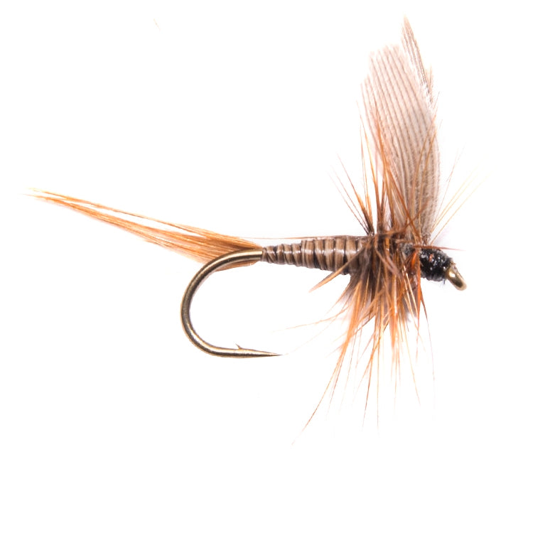 Dark Olive Winged Dry Flies