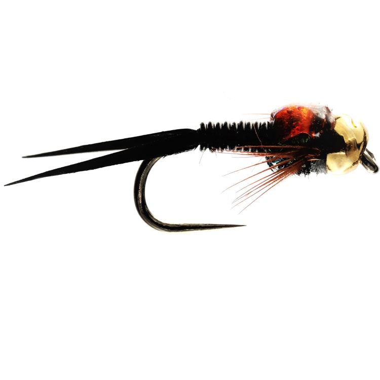 COPPER JOHN BLACK GOLD BEAD FLIES