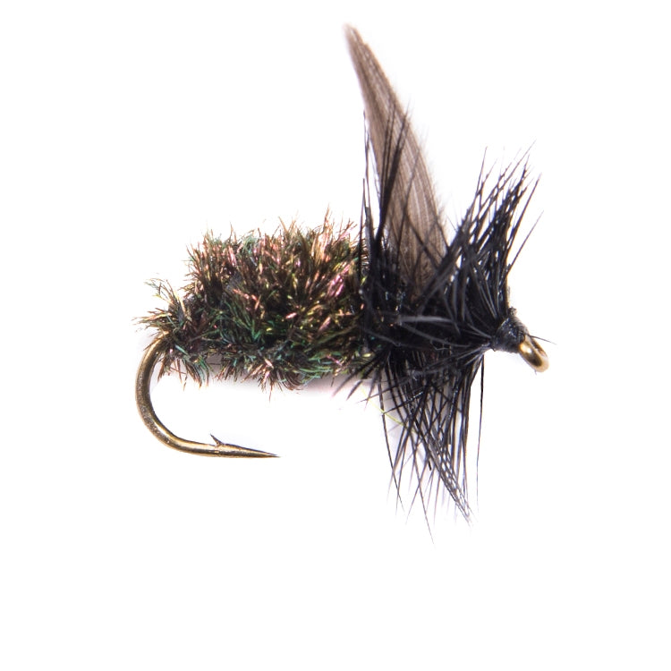 Blue Bottle Winged Dry Flies