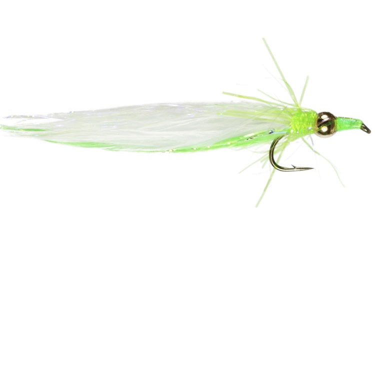 NOMAD CAT FLIES