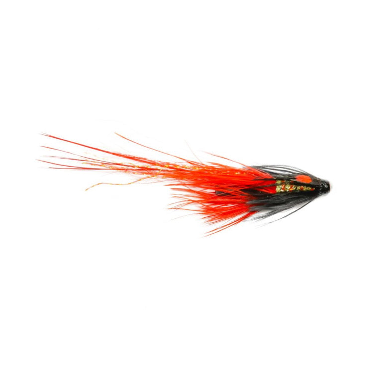 Pot Belly Pig Tiger Shark Copper Tube Flies