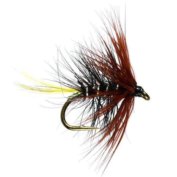 John Norris Pro Team Fly Selection Service for Trout