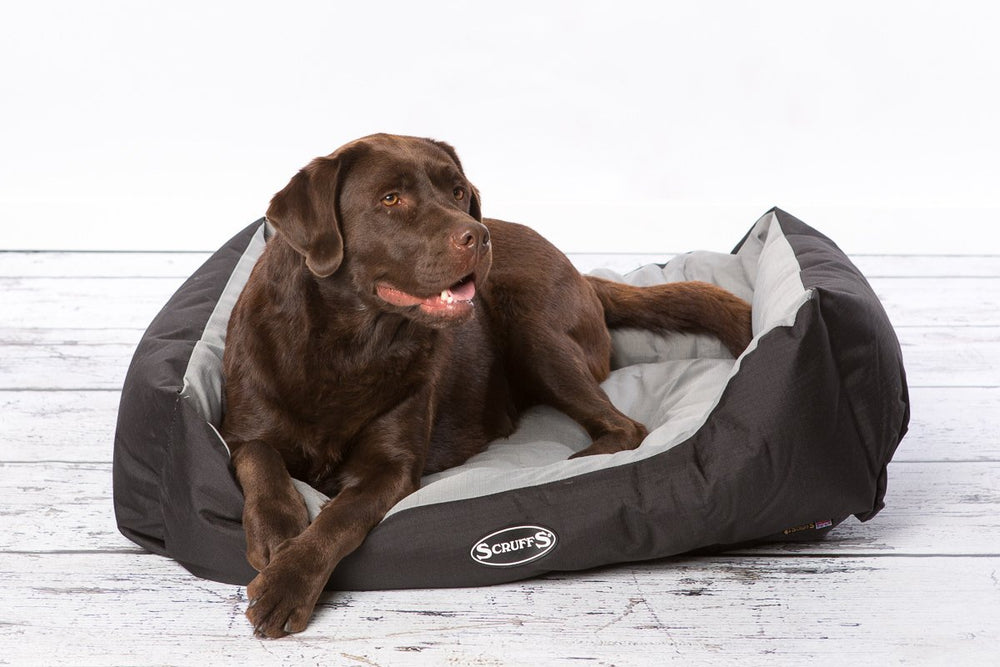 Scruffs Expedition Water Resistant Box Dog Bed - Graphite